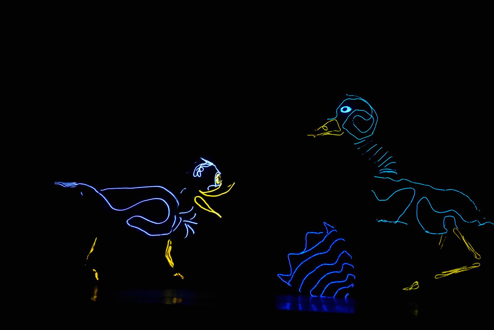 Animal Lights in darkness
